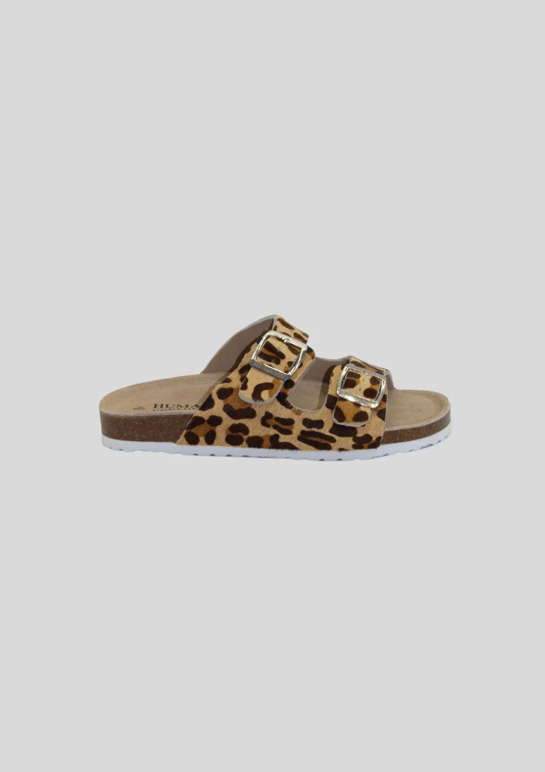 Sandy - Leopard