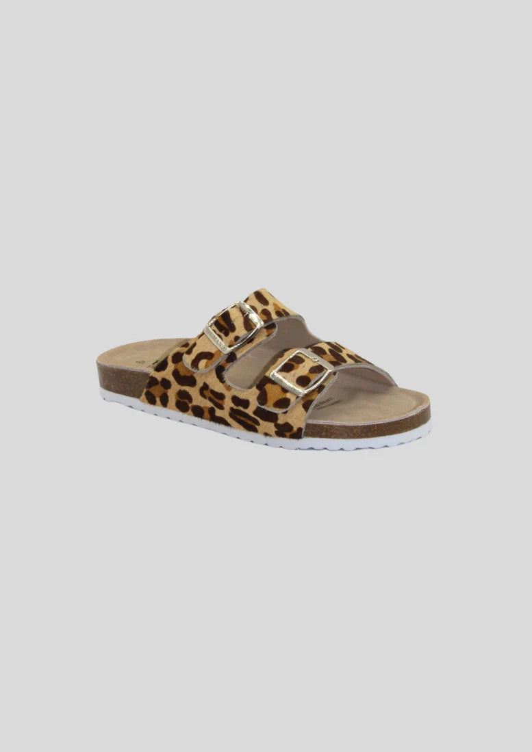 Sandy - Leopard
