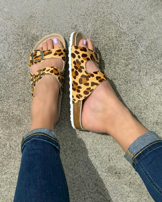 Sandy - Leopard